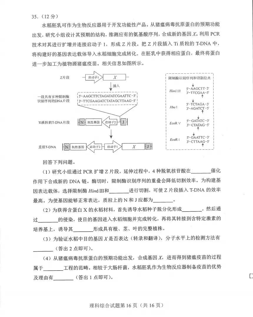 新高考2024九省联考河南理综试卷及谜底剖析