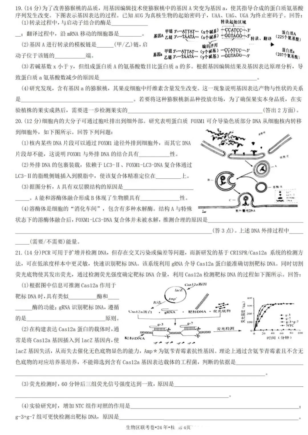 新高考2024七省联考生物试卷及谜底剖析