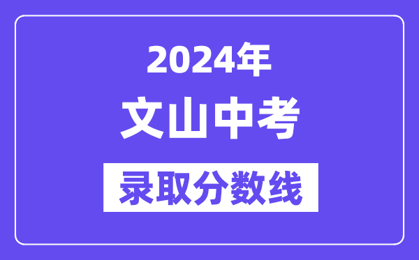 2024年文山中考登科分数线一览表（含积年分数线） 
