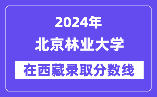 北京林业大学2024年在西藏登科分数线一览表(2025年参考)