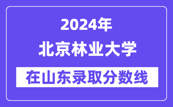 北京林业大学2024年在山东登科分数线一览表（2025年参考）