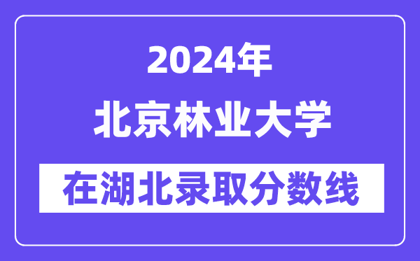 北京林业大学2024年在湖北登科分数线一览表（2025年参考）