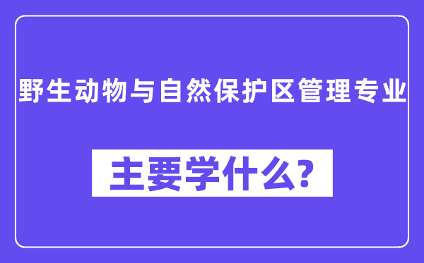 野活泼物与天然掩护区办理专业首要学甚么?附野活泼物与天然掩护区办理专业课程目次