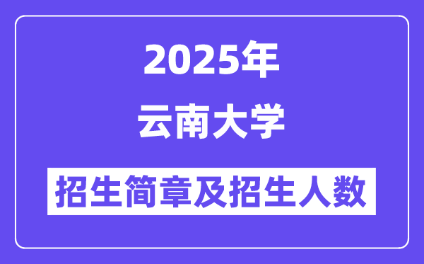 云南大学2025高考招生简章及各省招生存划人数
