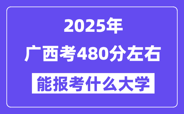 2025年广西考480分摆布能报考上甚么大学?附位次排名对比表