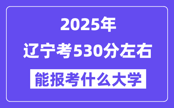 2025年辽宁考530分摆布能报考上甚么大学?附位次排名对比表