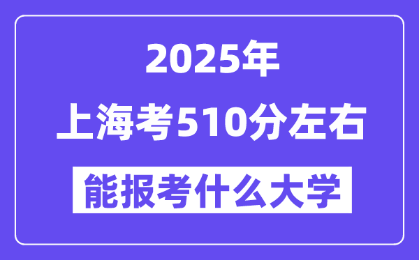 2025年上海考510分摆布能报考上甚么大学?附位次排名对比表