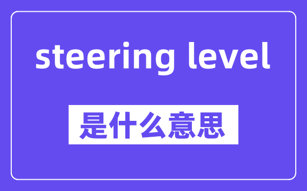 steering level是甚么意义,中文翻译是甚么
