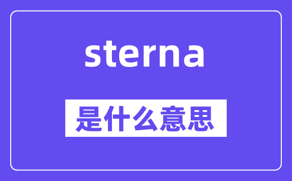 sterna是甚么意义,sterna怎样读,中文翻译是甚么