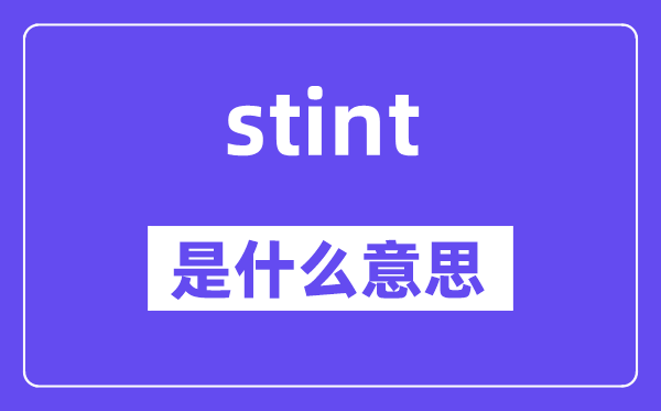 stint是甚么意义,stint怎样读,中文翻译是甚么