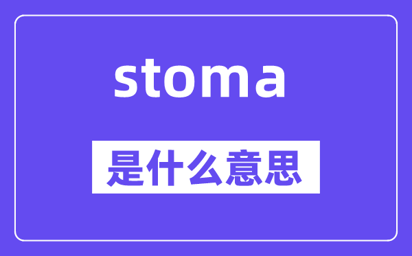 stoma是甚么意义,stoma怎样读,中文翻译是甚么
