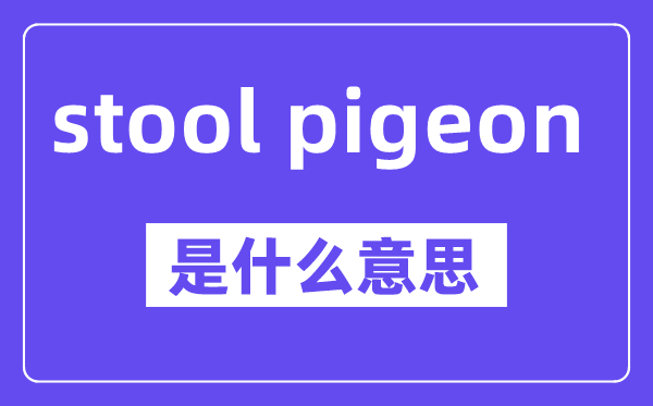 stool pigeon是甚么意义,中文翻译是甚么