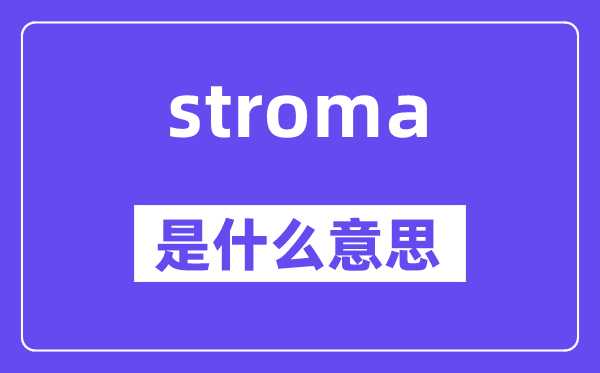 stroma是甚么意义,stroma怎样读,中文翻译是甚么