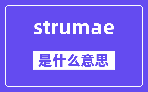 strumae是甚么意义,strumae怎样读,中文翻译是甚么