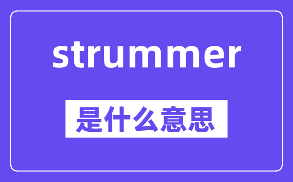 strummer是甚么意义,strummer怎样读,中文翻译是甚么