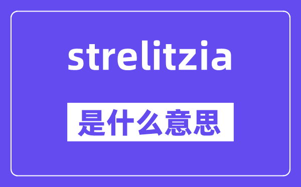 strelitzia是甚么意义,中文翻译是甚么