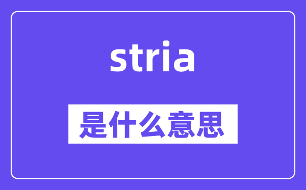 stria是甚么意义,stria怎样读,中文翻译是甚么