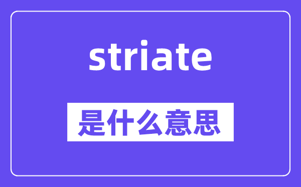 striate是甚么意义,striate怎样读,中文翻译是甚么