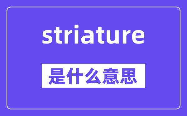 striature是甚么意义,striature怎样读,中文翻译是甚么