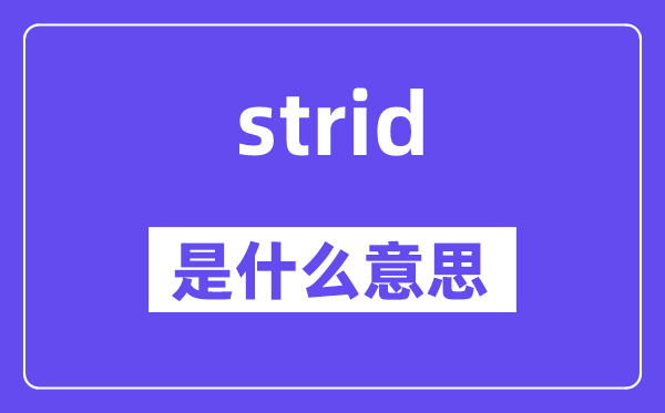 strid是甚么意义,strid怎样读,中文翻译是甚么