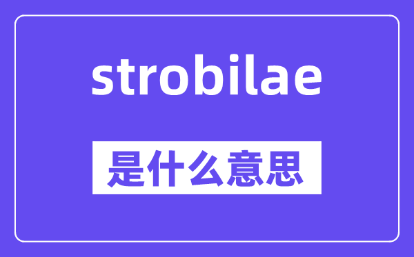 strobilae是甚么意义,strobilae怎样读,中文翻译是甚么