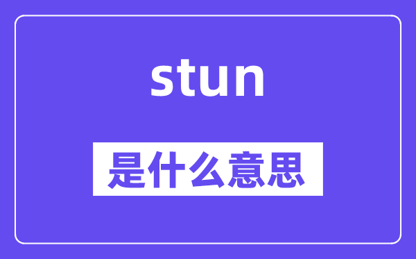 stun是甚么意义,stun怎样读,中文翻译是甚么