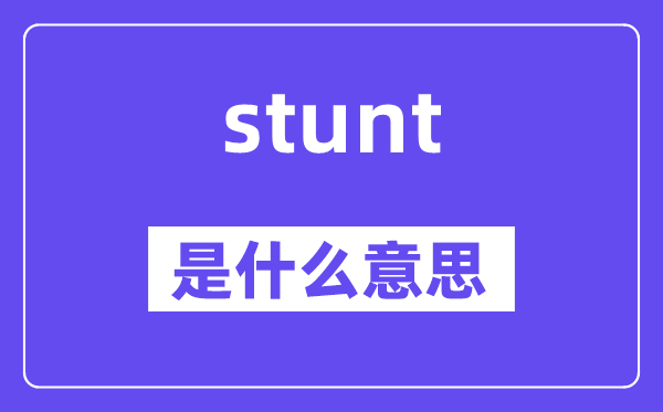 stunt是甚么意义,stunt怎样读,中文翻译是甚么