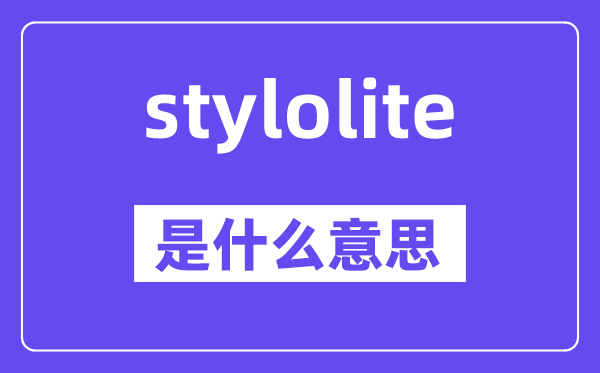 stylolite是甚么意义,stylolite怎样读,中文翻译是甚么