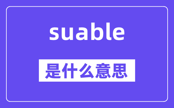 suable是甚么意义,suable怎样读,中文翻译是甚么