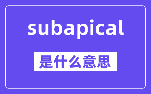 subapical是甚么意义,中文翻译是甚么