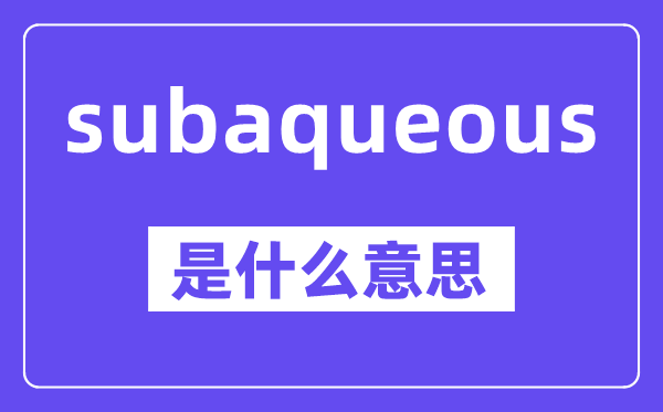 subaqueous是甚么意义,中文翻译是甚么