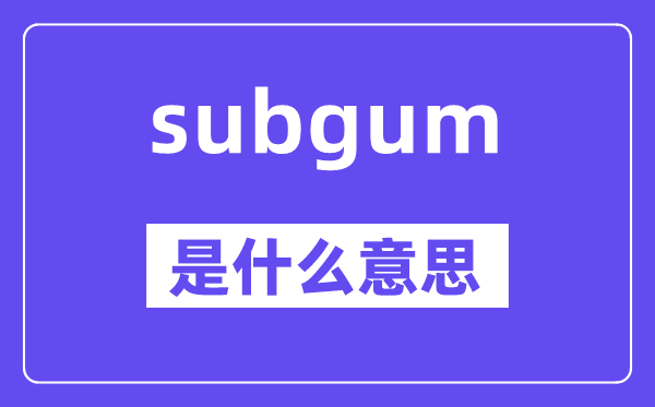 subgum是甚么意义,subgum怎样读,中文翻译是甚么