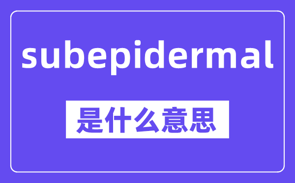 subepidermal是甚么意义,中文翻译是甚么