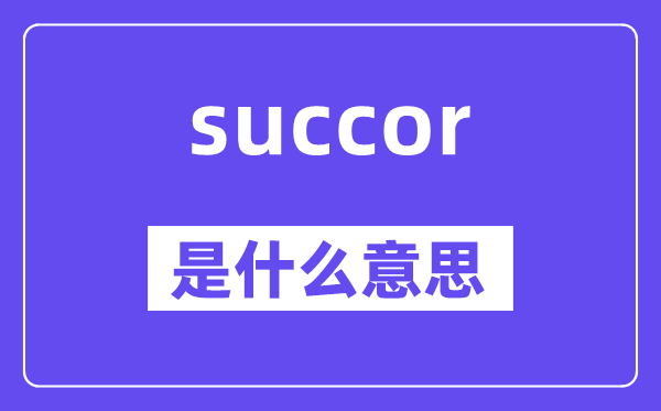 succor是甚么意义,succor怎样读,中文翻译是甚么