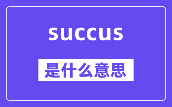 succus是甚么意义,succus怎样读,中文翻译是甚么