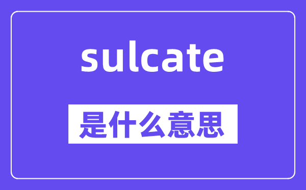sulcate是甚么意义,sulcate怎样读,中文翻译是甚么