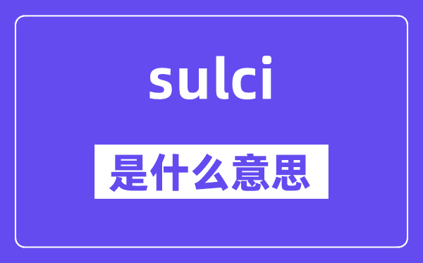 sulci是甚么意义,sulci怎样读,中文翻译是甚么
