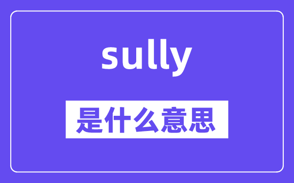 sully是甚么意义,sully怎样读,中文翻译是甚么