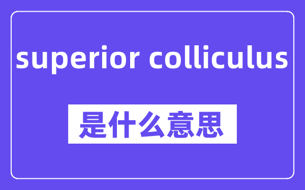 superior colliculus是甚么意义,中文翻译是甚么