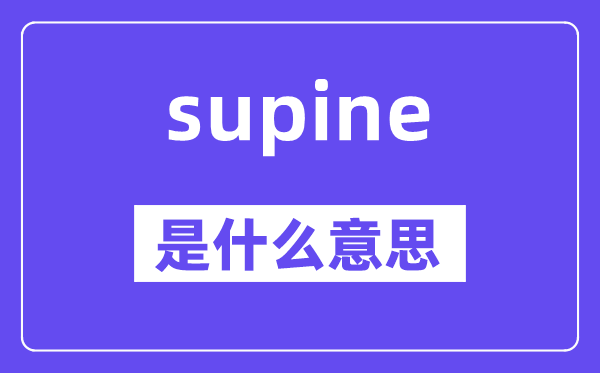 supine是甚么意义,supine怎样读,中文翻译是甚么