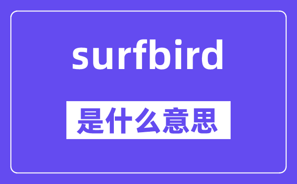 surfbird是甚么意义,surfbird怎样读,中文翻译是甚么