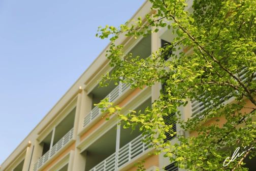 南京第五高等中学简介概略(建校汗青、地点、师资、校训、情况)