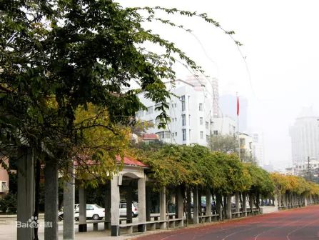 南京宁海中学有几个校区_地点别离在哪?