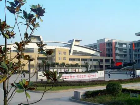 南京市雨花台中学在南京的排名第几,南外属于甚么条理？