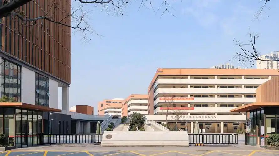南京河西本国语黉舍在南京的排名第几,南外属于甚么条理?