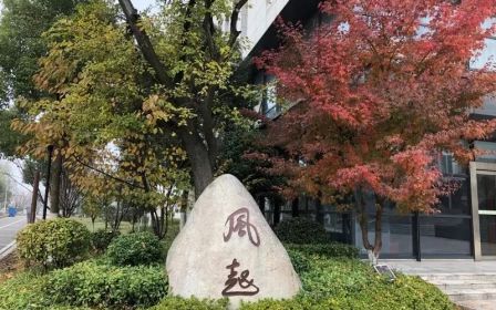 南京市栖霞中学在南京的排名第几,南外属于甚么条理?