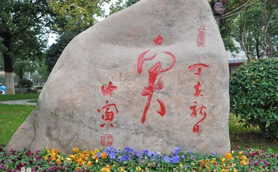 南京市临江高等中学在南京的排名第几,南外属于甚么条理？