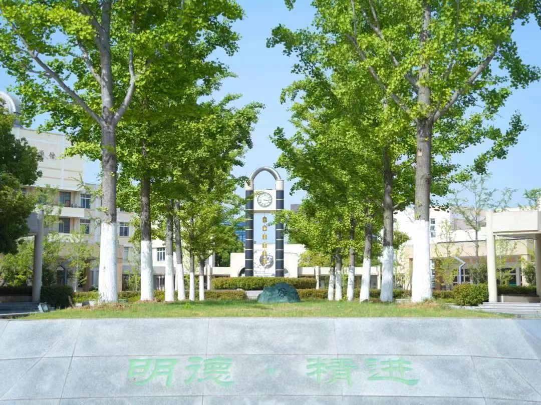 江苏省江浦高等中学在南京的排名第几,南外属于甚么条理?