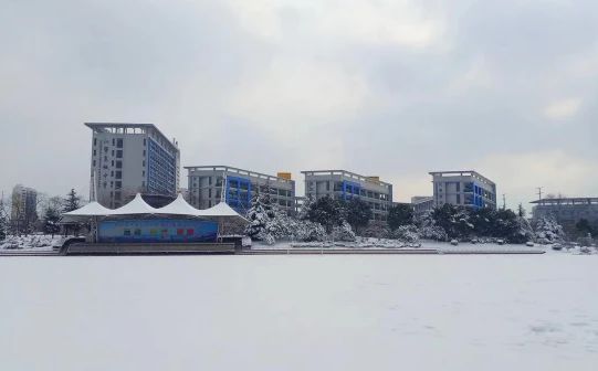 南京市江宁高等中学在南京的排名第几,南外属于甚么条理?