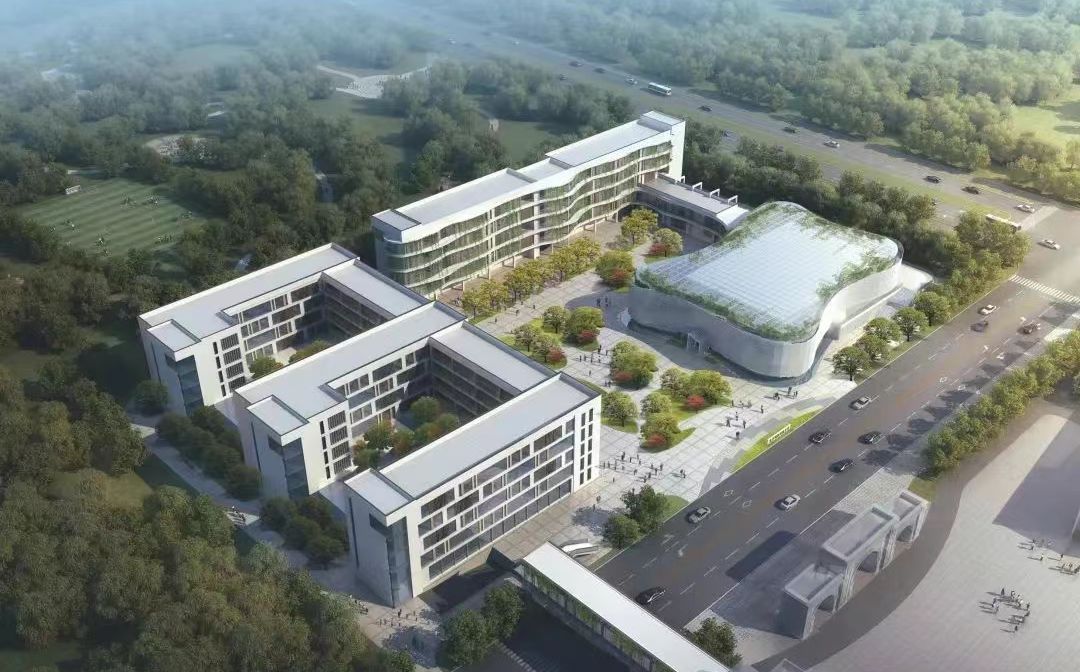 南京市高淳区湖滨高等中学在南京的排名第几,南外属于甚么条理?